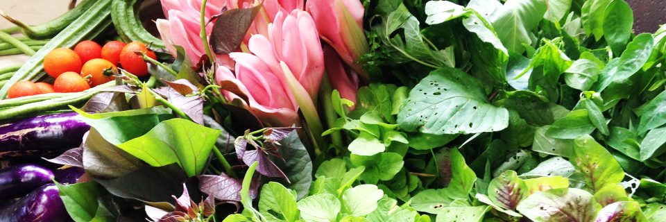 Go Organic Safeguard Health